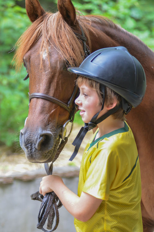 Hanging out with the horses at the barn