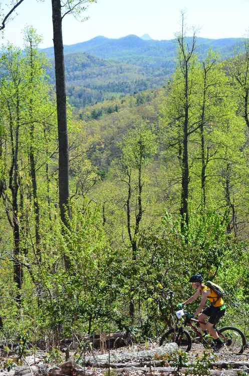 Payoff view from near the top of the mountain on Reptar Trail