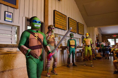 falling creek ninja turtles