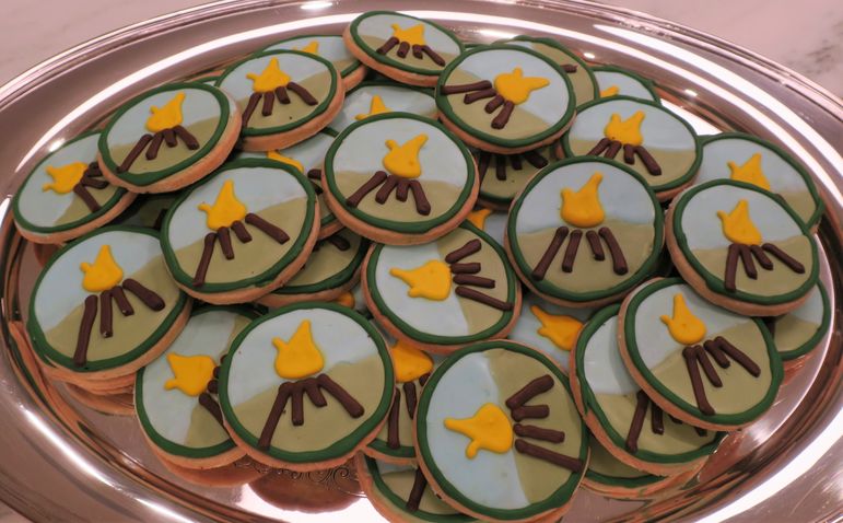 Emily shared some beautiful cookies at the New York Reunion and Movie Show!