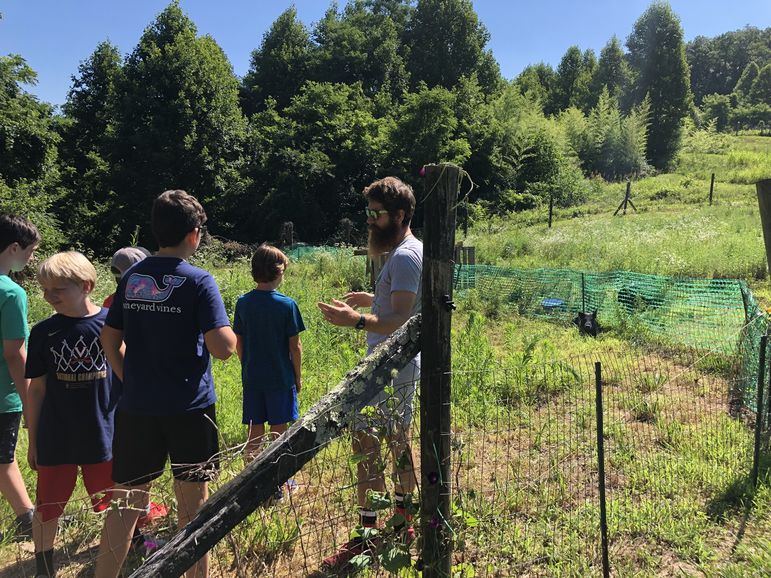 Zeb introducing the boys to Wilma and Martin, camp’s new pigs