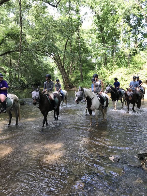 Cooling off with a little splash through the creek
