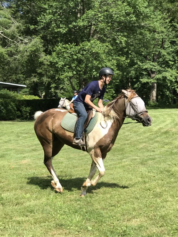 Cantering around the Green River Flats