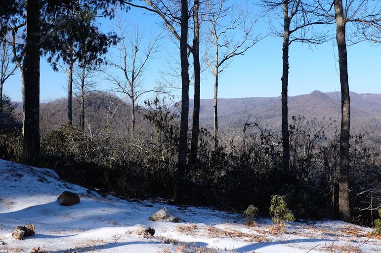 Ice storm at falling creek camp